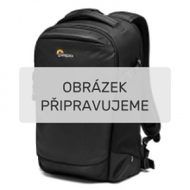 Lowepro Flipside BP 300 AW III black 